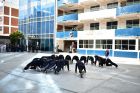 276 3059 Eventos Bachillerato Tecnolgico Toluca.jpg