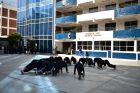 276 3059 Eventos Bachillerato Tecnolgico Toluca.jpg